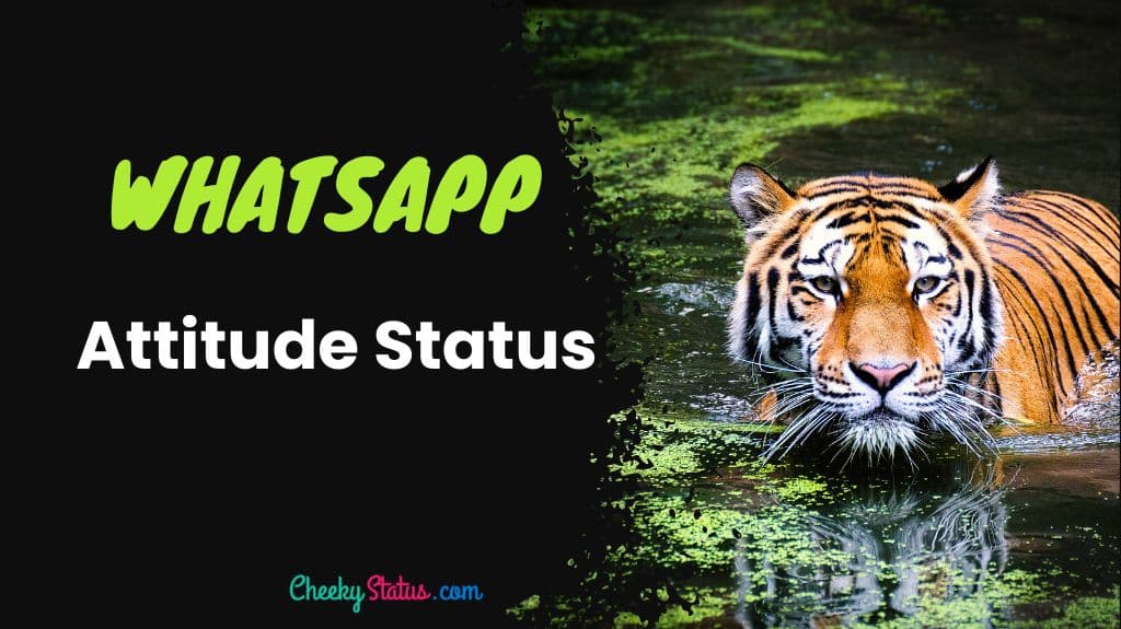 51+ Best WhatsApp Attitude Status and Quotes in English